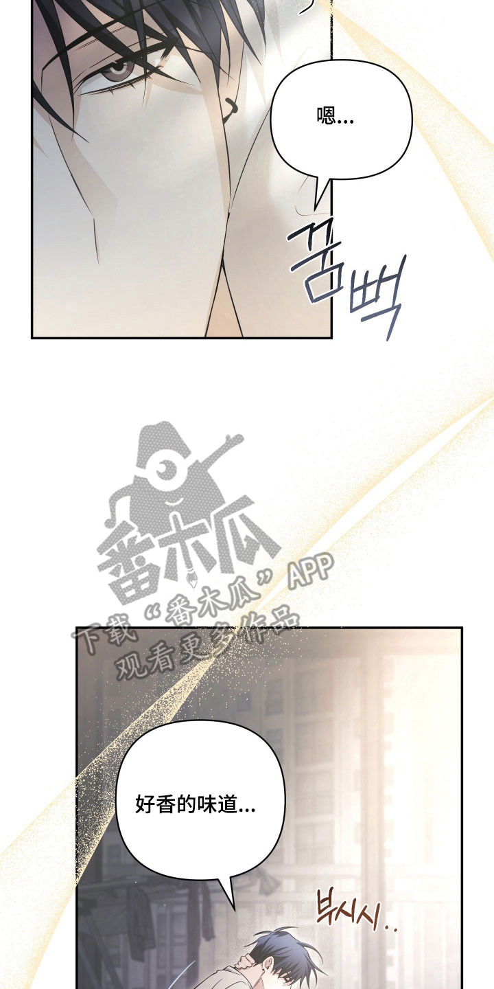 绝对复仇宣言韩漫漫画,第22章：住在一起1图