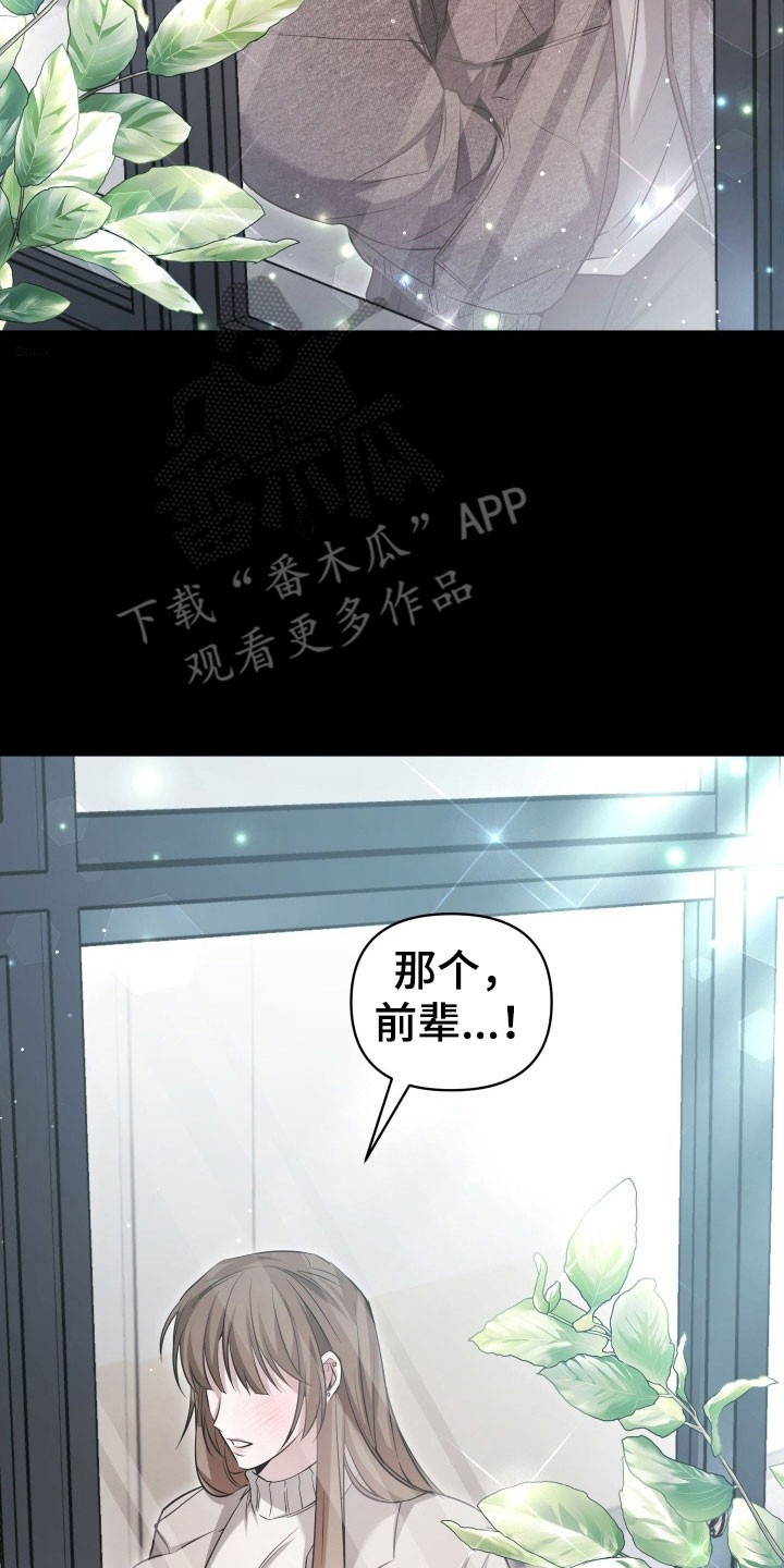 第29章：绝对服从1