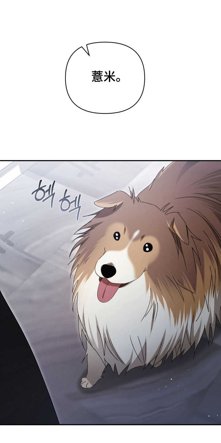 决绝的穿越之复仇漫画,第30章：记不得了3图