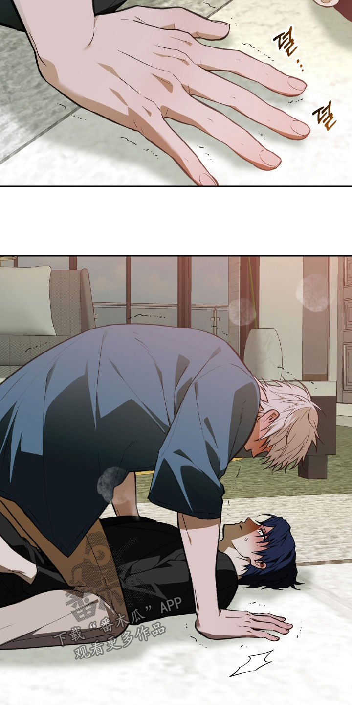 我的小笨熊漫画,第92章：【第二季】不可避免3图