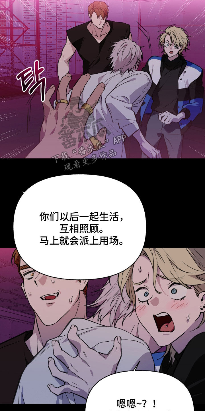 我的小笨熊漫画,第87章：【第二季】我不相信1图