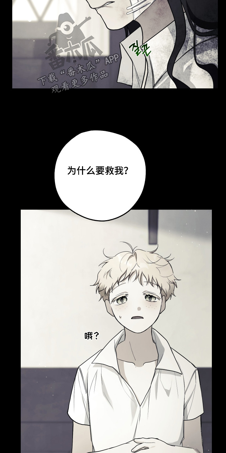 潮鸣起万物泣出自哪里漫画,第19章：不需要同情5图