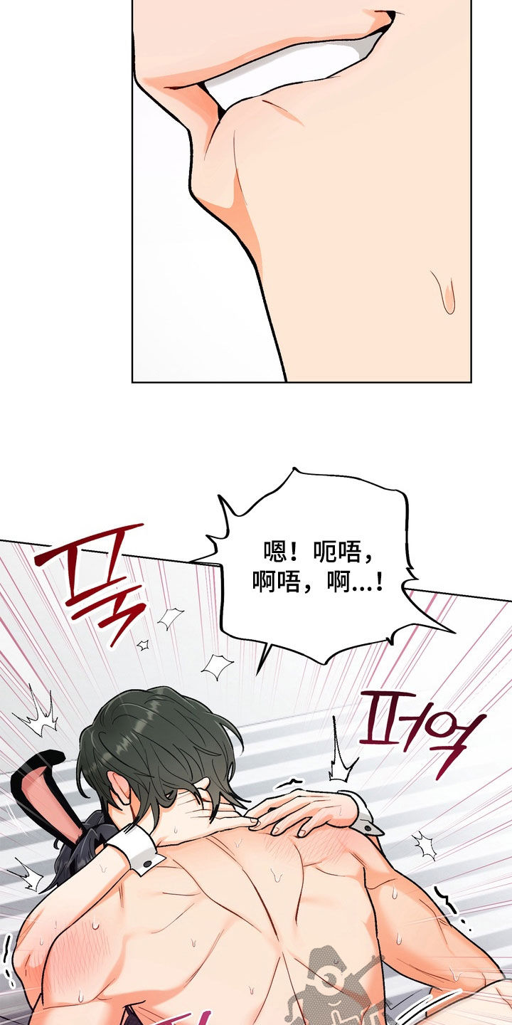 第63章：【第二季】兔子服0