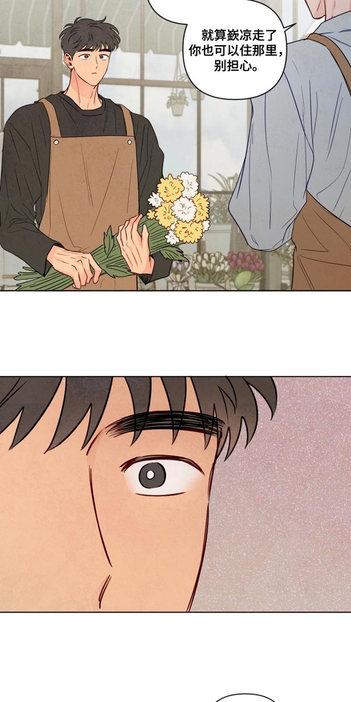 与神相拥漫画,第80章：【第二季】想守护的东西5图