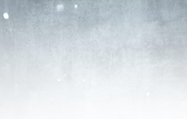 温柔牢笼小说免费看漫画,第46章：走投无路的老鼠2图