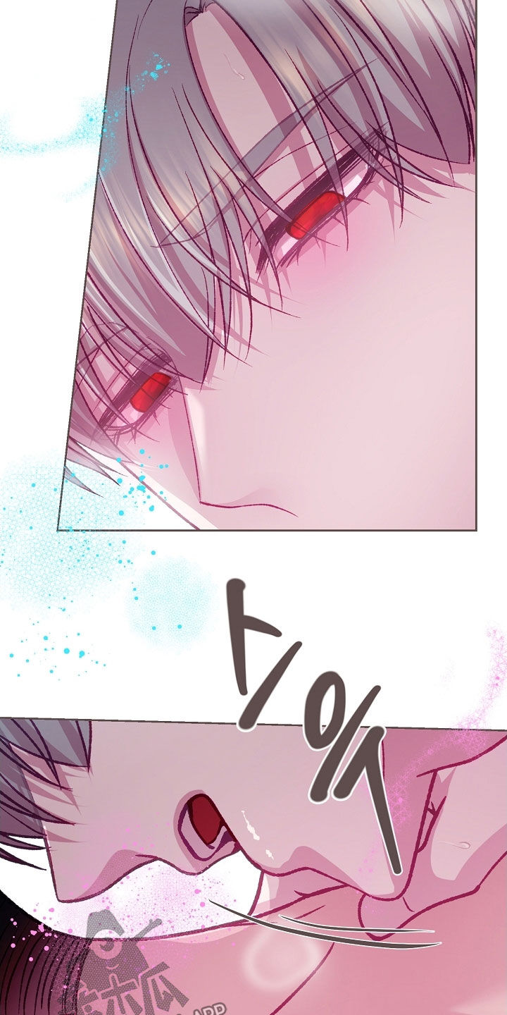 第109章：【第二季】只有你而已4