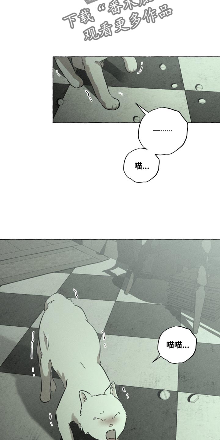 血族囚笼未婚妻详细介绍漫画,第122章：我已经尽力了！2图