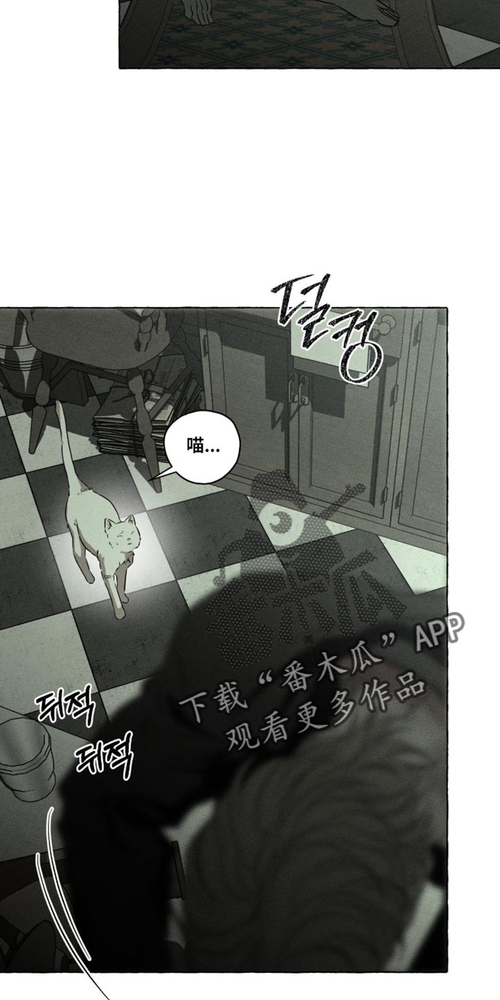 血族囚笼未婚妻详细介绍漫画,第122章：我已经尽力了！5图