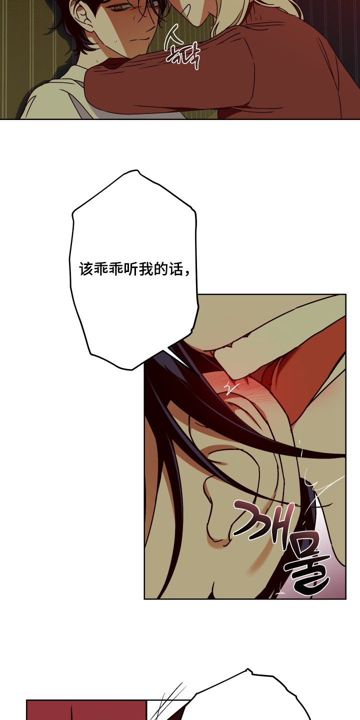 倒悬玫瑰漫画,第37章：乖乖听话5图