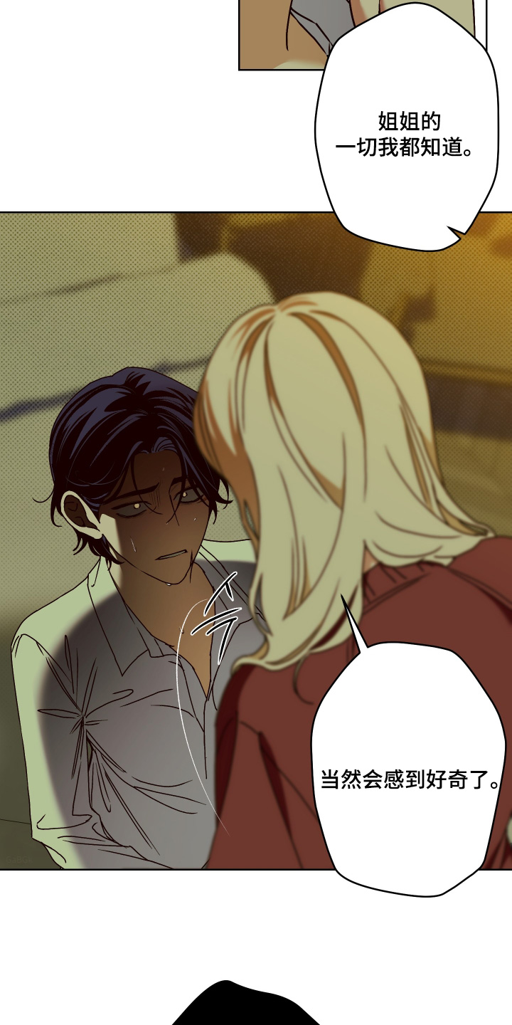 倒挂玫瑰花是什么意思漫画,第36章：我一切都知道4图