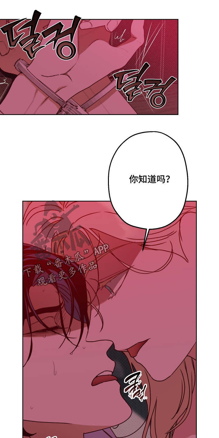 倒悬玫瑰漫画,第37章：乖乖听话3图