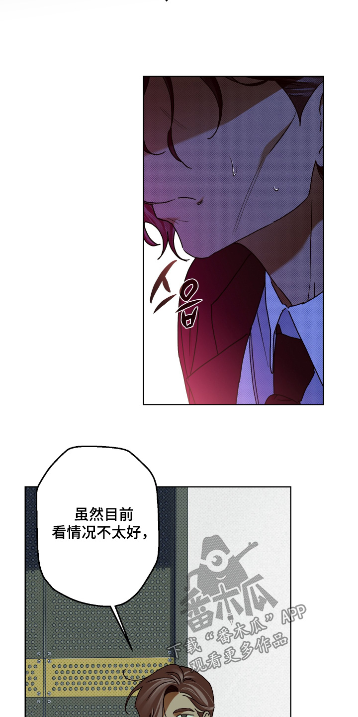 倒悬玫瑰漫画,第35章：尽快决定4图
