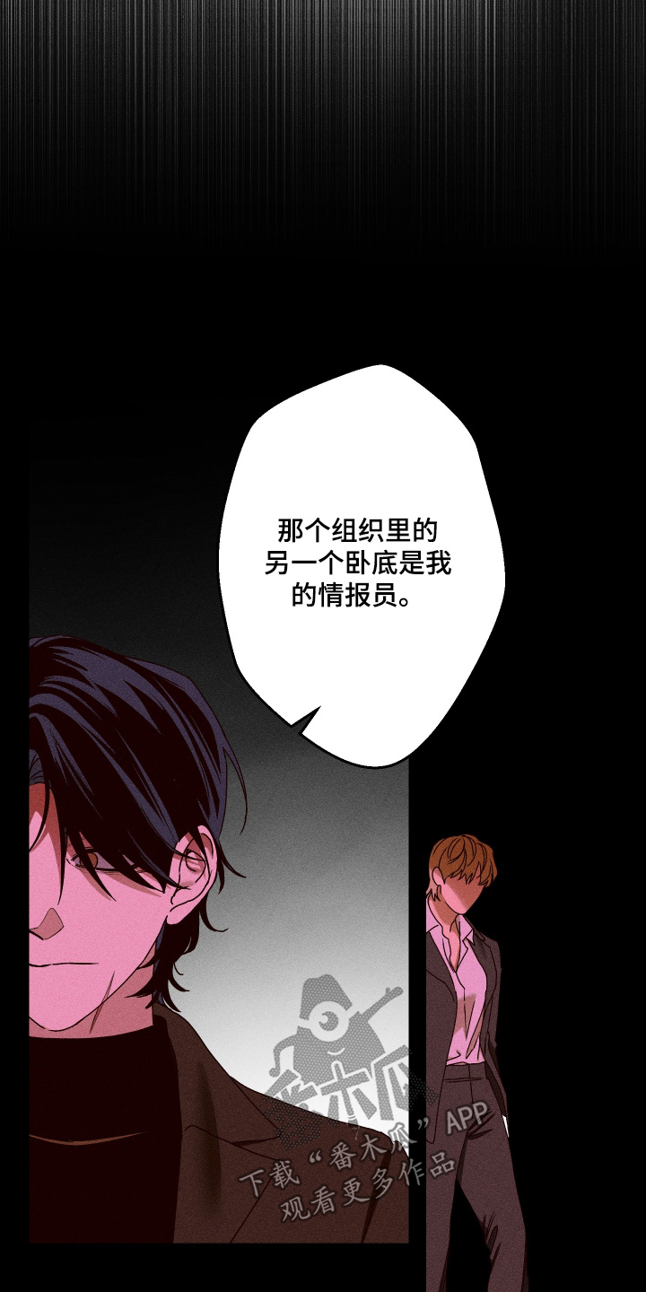 倒悬玫瑰漫画,第35章：尽快决定4图