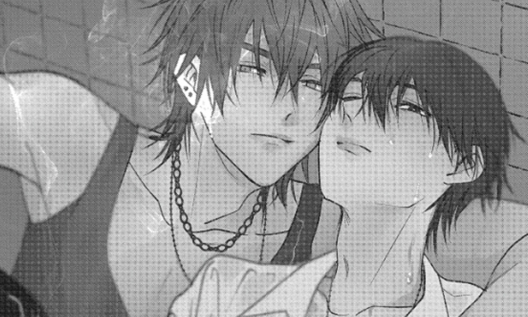 流浪猫与优等生